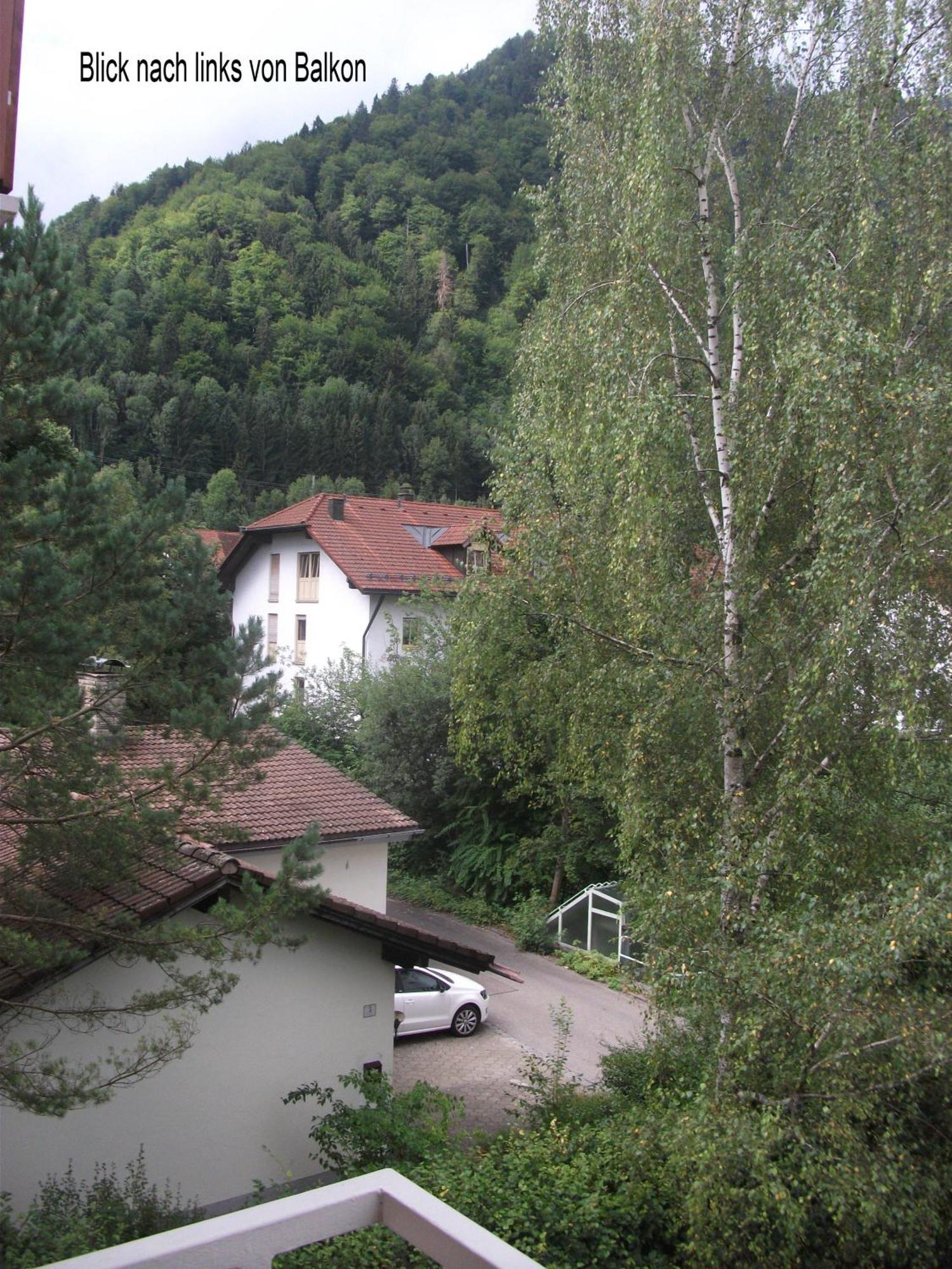 Appartemant Steineberg Immenstadt im Allgäu Buitenkant foto